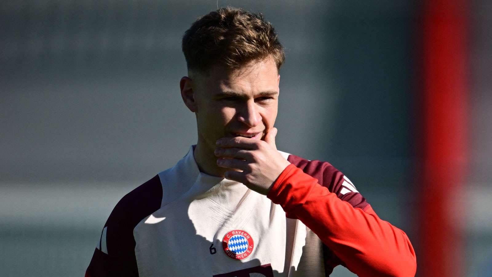 队在本赛季 队在本赛季